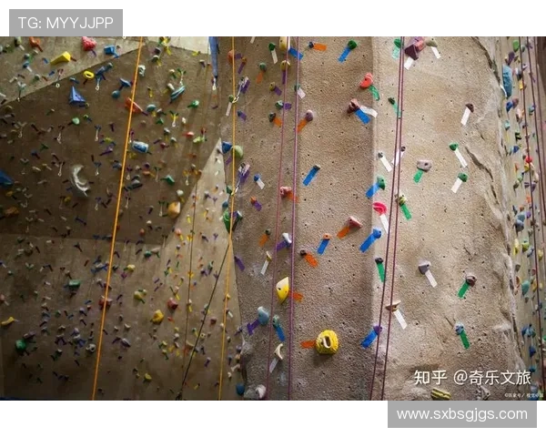 广州攀岩队的默契配合与技巧揭秘:攀岩运动的团队精神与挑战之旅 广州攀岩队的默契配合与技巧揭秘:攀岩运动的团队精神与挑战之旅
