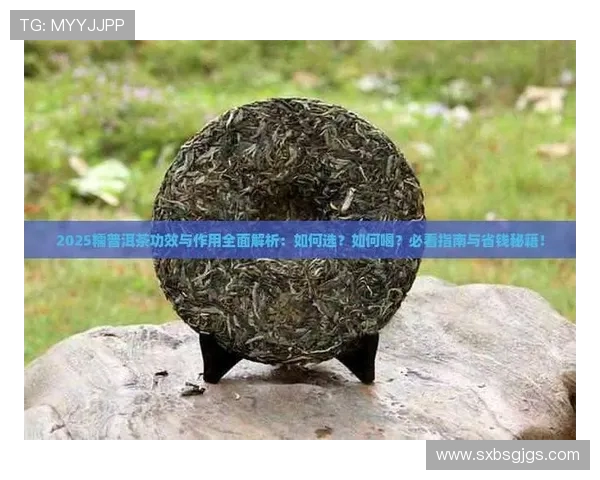 篮球新手必看:从零开始提升比赛意识的全面指南 篮球新手必看:从零开始提升比赛意识的全面指南