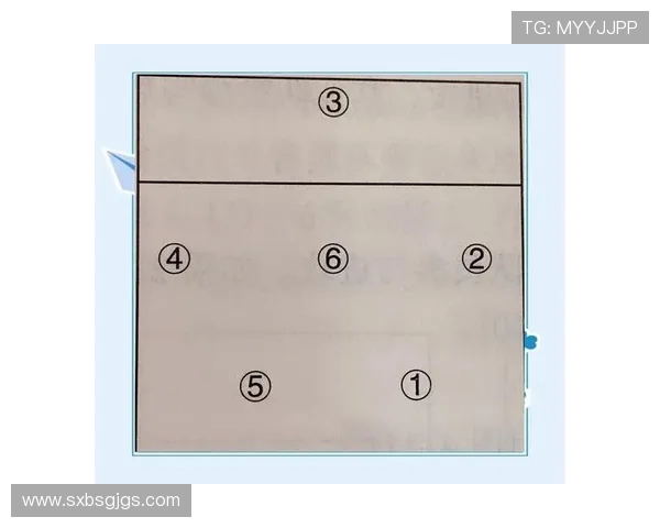 西安排球队的排球进攻战术解析与实战应用探讨