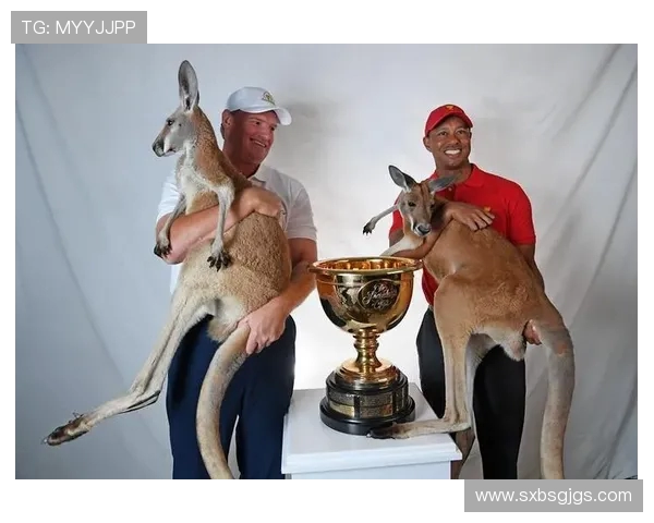 乌干达与南非精彩对决录像回放全程分析与精彩瞬间回顾