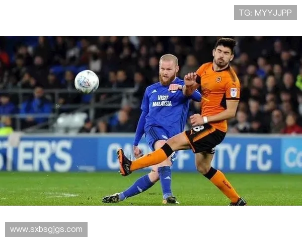 伯明翰与哈德斯对决谁将赢得胜利分析与预测 伯明翰与哈德斯对决谁将赢得胜利分析与预测