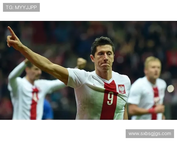 波兰与爱尔兰激战正酣比赛结果及精彩瞬间回顾