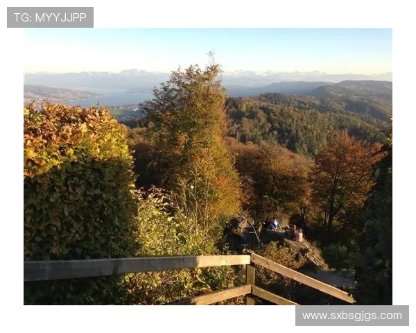 舒耐与瑞士苏黎世精彩对决视频回顾及赛后分析