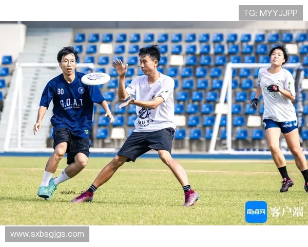 飞盘战术与团队协作上海飞盘队的成功运营模式探讨
