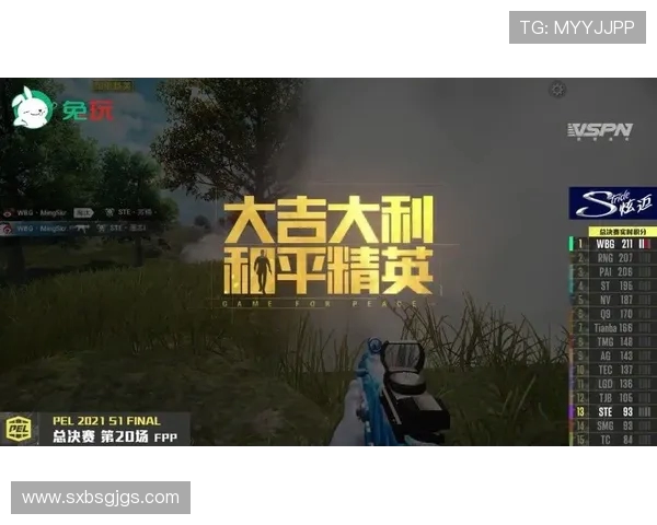 和平精英专题深入分析RNG战队心理素质对比赛表现的影响与启示