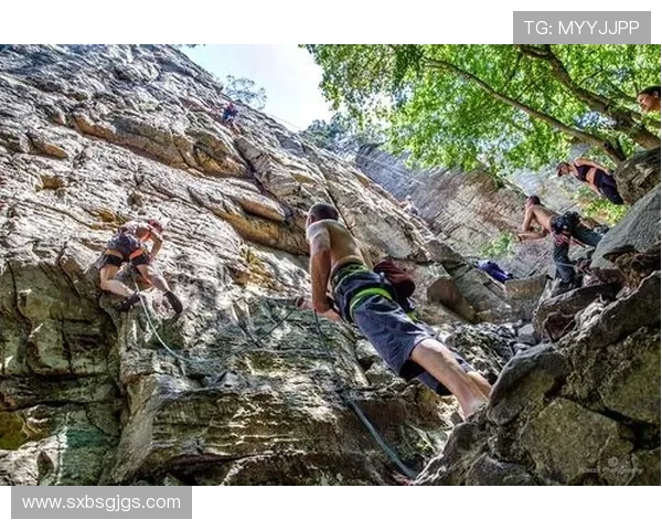 武汉攀岩队的节奏探秘：深度解析攀岩运动的魅力与挑战