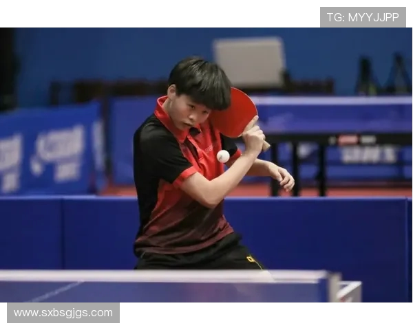 陈伟乒乓球人生的深度对话与成长历程探讨 陈伟乒乓球人生的深度对话与成长历程探讨