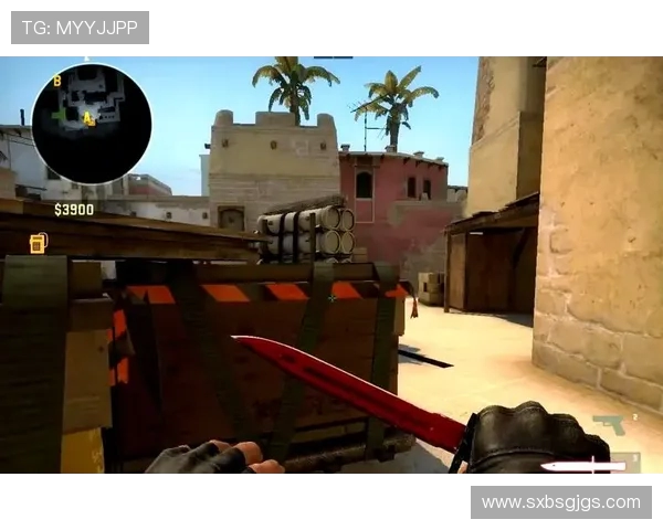 BLG战队在CSGO比赛中的防守策略分析与得失总结 BLG战队在CSGO比赛中的防守策略分析与得失总结