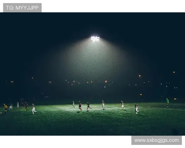 杭州极限运动队团队协作引发热议与争议的背后故事